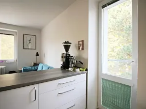 Pronájem bytu 4+kk, Brno, Neumannova, 93 m2