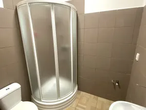 Pronájem bytu 2+kk, Plzeň, Úslavská, 30 m2