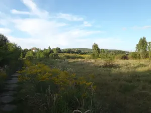 Prodej louky, Kosmonosy, 8401 m2