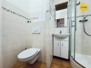 Pronájem bytu 1+kk, Pardubice, Grusova, 39 m2