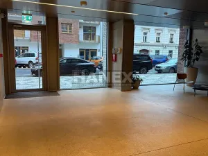 Prodej bytu 2+kk, Praha - Karlín, Křižíkova, 66 m2