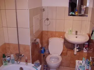 Pronájem bytu 1+kk, Liberec, Hroznová, 28 m2