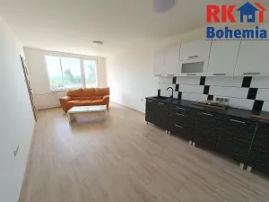 Pronájem bytu 4+kk, Litvínov, Hamerská, 68 m2