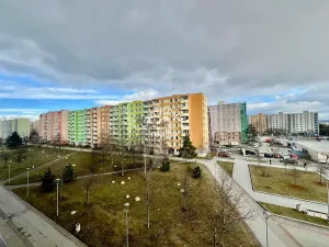 Prodej bytu 1+1, České Budějovice, V. Volfa, 41 m2
