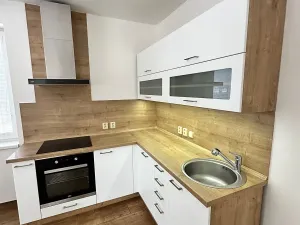 Pronájem bytu 1+kk, Děčín, Na Slatinách, 38 m2
