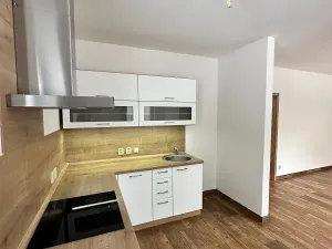 Pronájem bytu 1+kk, Děčín, Na Slatinách, 38 m2