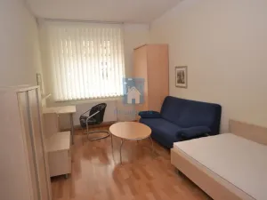 Pronájem bytu 1+1, Plzeň, Zámečnická, 45 m2