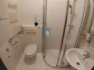 Pronájem bytu 1+1, Plzeň, Zámečnická, 45 m2