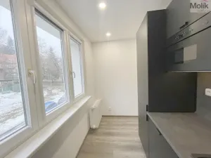 Pronájem bytu 2+1, Litvínov - Horní Litvínov, Podkrušnohorská, 55 m2