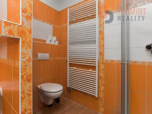 Prodej bytu 4+1, Brno, Drobného, 158 m2