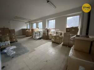 Pronájem výrobních prostor, Oskava, 950 m2