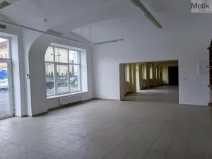 Pronájem výrobních prostor, Teplice, Pražská, 651 m2
