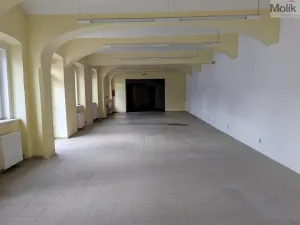 Pronájem obchodního prostoru, Teplice, Pražská, 271 m2