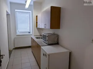 Pronájem obchodního prostoru, Teplice, Pražská, 271 m2