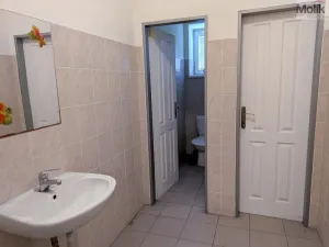 Pronájem obchodního prostoru, Teplice, Pražská, 271 m2