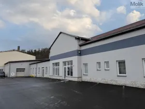 Pronájem obchodního prostoru, Teplice, Pražská, 271 m2