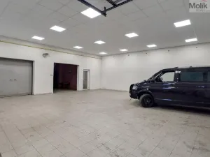 Pronájem obchodního prostoru, Teplice, Pražská, 380 m2