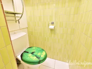 Pronájem bytu 1+1, Brno - Jundrov, Dubová, 32 m2