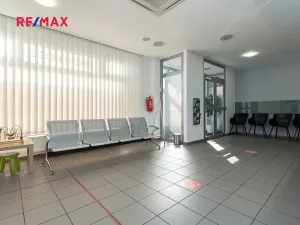 Pronájem ordinace, Praha - Nusle, Hradeckých, 62 m2