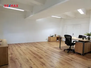 Pronájem kanceláře, Praha - Hloubětín, Nademlejnská, 40 m2