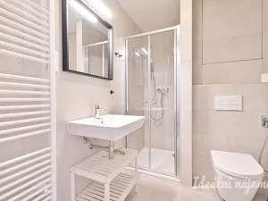 Pronájem bytu 1+kk, Brno, Rybářská, 29 m2