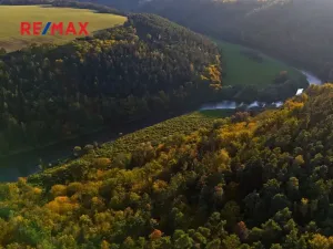 Prodej lesa, Všehrdy, 35057 m2