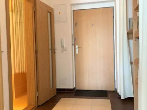 Pronájem bytu 1+kk, Olomouc, Peškova, 45 m2