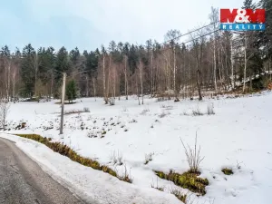 Prodej pozemku pro bydlení, Dolní Dvůr, 9366 m2