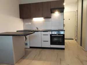 Pronájem bytu 1+kk, Plzeň, Skupova, 20 m2