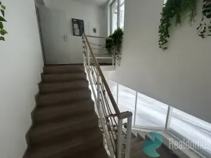 Pronájem komerční nemovitosti, České Budějovice - České Budějovice 2, Husova tř., 300 m2