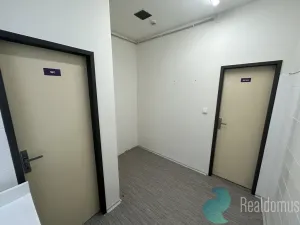 Pronájem kanceláře, České Budějovice - České Budějovice 2, Husova tř., 139 m2