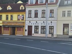 Prodej činžovního domu, Teplice, Laubeho náměstí, 425 m2