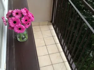 Pronájem bytu 2+1, Ostrava - Poruba, Sokolovská, 55 m2