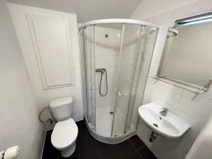 Pronájem bytu 1+1, Ostrava - Zábřeh, Dolní, 36 m2