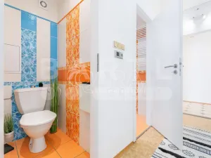 Prodej bytu 3+1, České Budějovice - České Budějovice 2, K. Chocholy, 66 m2