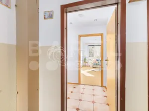 Prodej bytu 3+1, České Budějovice - České Budějovice 2, K. Chocholy, 66 m2