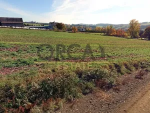 Prodej pole, Libštát, 3233 m2