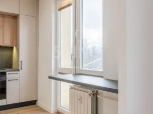 Prodej bytu 2+1, Český Těšín, Frýdecká, 51 m2