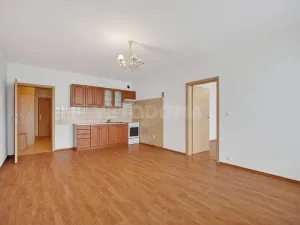 Prodej bytu 2+kk, Plzeň, Bolevecká, 53 m2