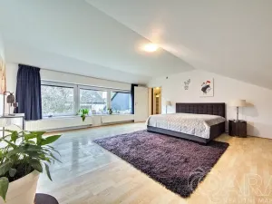 Pronájem rodinného domu, Dolní Břežany, V Úvozu, 380 m2