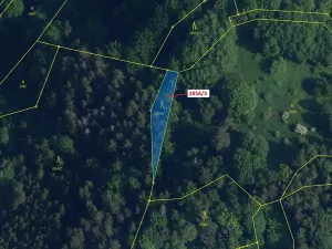 Dražba lesa, Český Dub, 448 m2