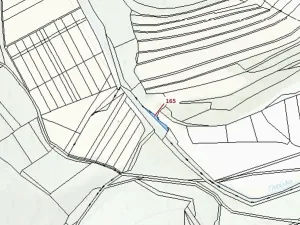 Dražba pole, Vranová Lhota, 198 m2