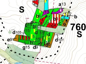 Dražba lesa, Hradiště, 1116 m2