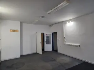 Prodej výrobních prostor, Pardubice - Pardubičky, Dělnická, 160 m2
