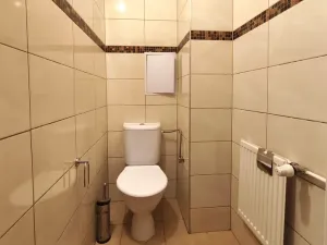 Pronájem bytu 1+1, Šenov, U Alejského dvora, 40 m2