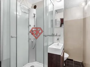 Prodej bytu 1+1, Česká Třebová - Lhotka, 38 m2