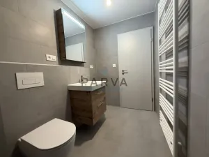 Pronájem bytu 1+kk, Plzeň - Litice, Hrachová, 32 m2