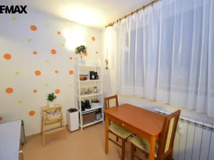 Prodej bytu 1+1, Olomouc - Nová Ulice, Hraniční, 32 m2