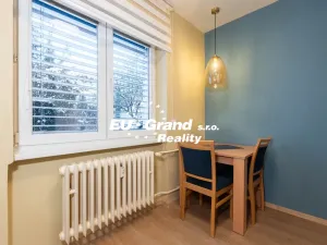 Prodej bytu 1+1, Ústí nad Labem - Ústí nad Labem-centrum, SNP, 29 m2