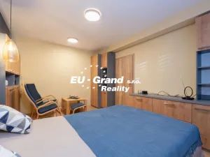 Prodej bytu 1+1, Ústí nad Labem - Ústí nad Labem-centrum, SNP, 29 m2